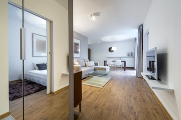 Modern apartment  interior design
