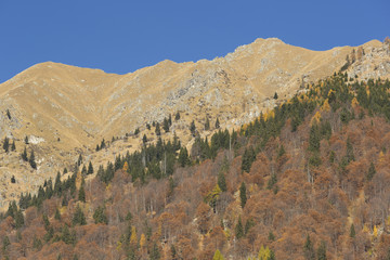 Fototapeta premium Alpine wilderness in autumn
