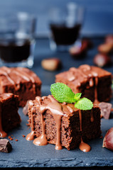 chestnut brownies with chocolate icing