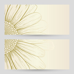 Vector daisies design.
