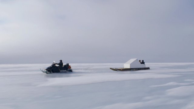 Man on ski-doo towing expedition equipment and expeditioners.