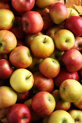 Fresh and ripe apples background, close up