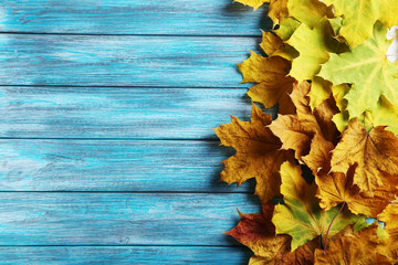 Naklejka na ściany i meble Autumn leafs on a blue wooden table