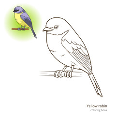 Yellow robin bird coloring book vector