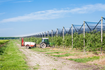 Agricultural work.
