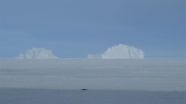 Pair of icebergs on the Arctic horizon.