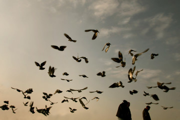 walking  with friends at the seaside