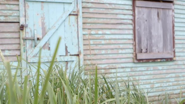 Old house seen through tall grass. Slow Motion