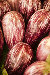 striped eggplants on display
