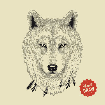 Vector sketch of a wolf's face. Wolf head, front view. Hand drawn illustration