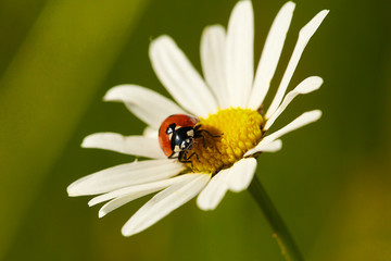 Frühling