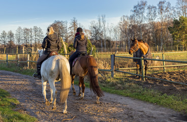 morgendlicher Ausritt