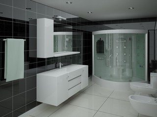 White and black bathroom interior.