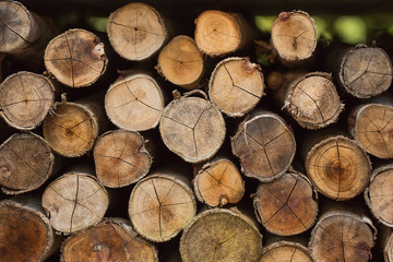 Firewood background
