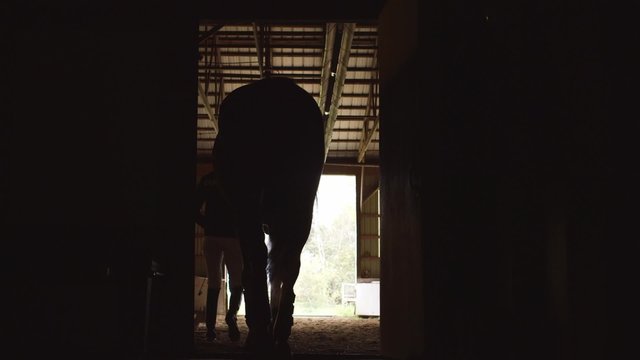 Silhouetted horseback rider exiting a stable with her horse.