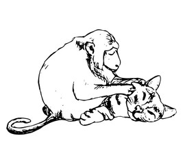 Friends - the monkey and the cat (abstraction)