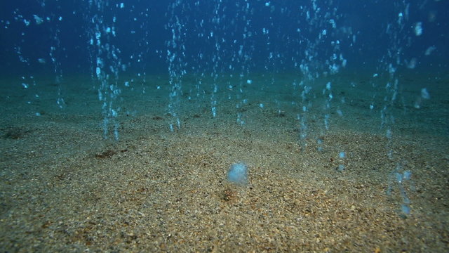 Bubbles coming out of ocean floor in Apo Island, Philippines