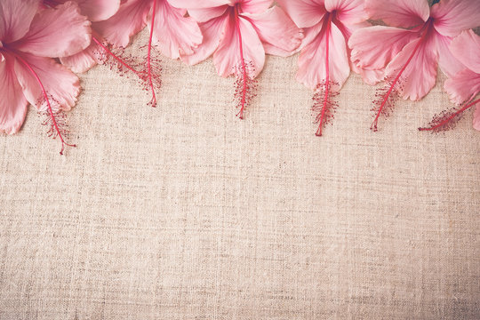 Pink Hibiscus flowers on linen, copy space background, selective focus, toning