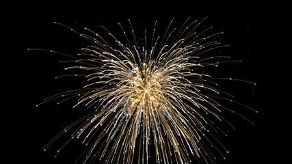 fireworks explosion sparkle