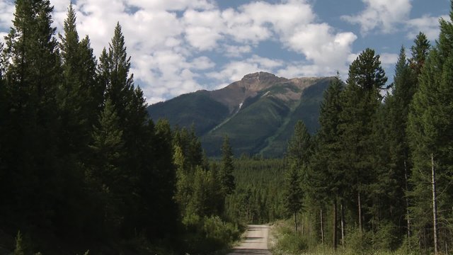 Road leading to the Bugaboo Mountains, British Columbia.