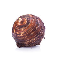 brown taro on white background