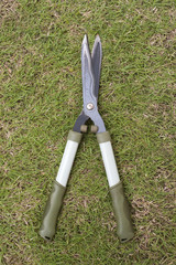 gardening scissors