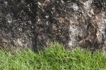 Grass and stone
