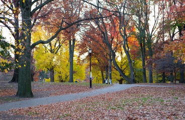 Two ladies stroll in the autumn park