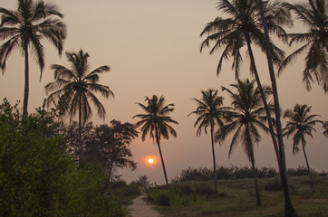 Obraz na płótnie Canvas landscape silhouettes of palm trees against a sunset 