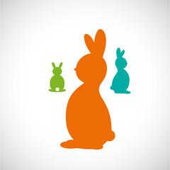 lapins © M.studio