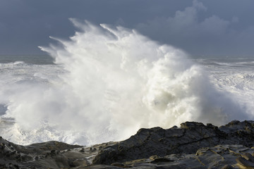 Swells of a Decade Crashing Against the Cliffs of Shore Acres State Park, Coos Bay Oregon
