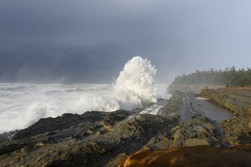 Obraz premium Swells of a Decade Crashing Against the Cliffs of Shore Acres State Park, Coos Bay Oregon