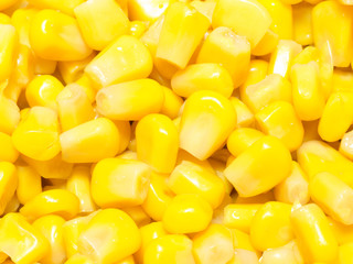 トウモロコシの粒