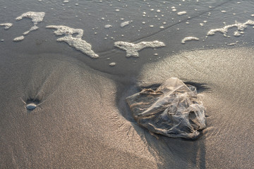 Obraz premium Used plastic bag garbage on sand beach