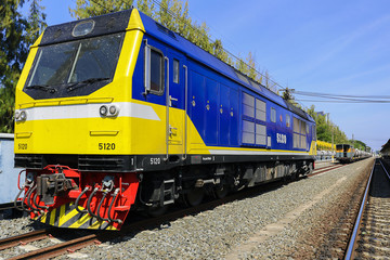 Fototapeta premium Train