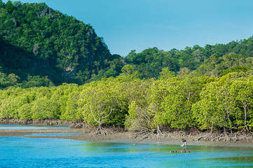 Fishing boats in sea and mangrove forest of Thailand