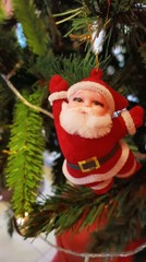 Obraz premium Santacros doll