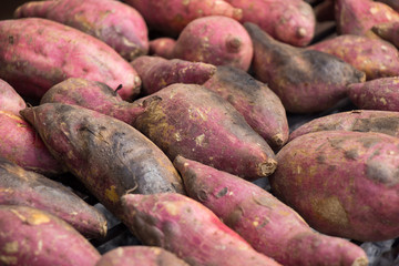 yam tubers