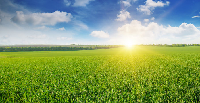 field, sunrise and blue sky