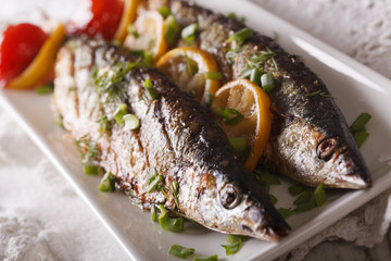 Tasty grilled saury with lemon on a plate close-up. Horizontal
