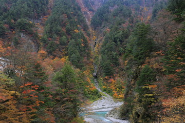 黒部峡谷の紅葉
