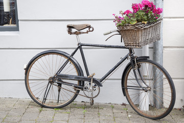 Fototapeta na wymiar Bicycle with Flowers, Dingle