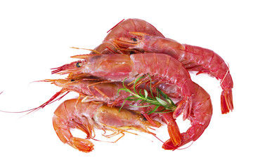 prawns isolated