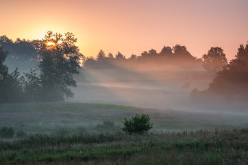 Fototapeta na wymiar Fog illuminated by the rising sun, Pomerania, Poland