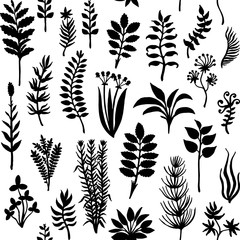 Vector seamless pattern with silhouettes of herbs and plants