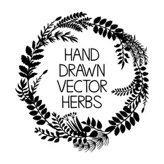 Hand drawn wreath of herbs and plants, vector illustration.