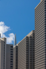 Fototapeta premium Peak of skyscraper - Transamerica Pyramid building,San Francisco