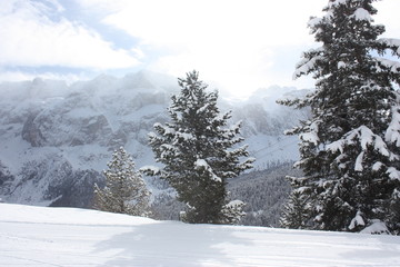 Dolomites. Apls. Italy.

