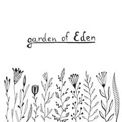 Wild flowers sketched set. Hand drawn floral border background. Vector decoration for greeting card