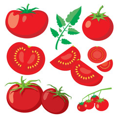 Vector fresh tomatoes in flat style